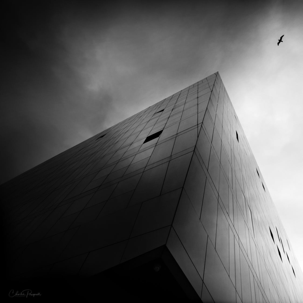 contrast-photography-everything-you-need-to-know-nfi
