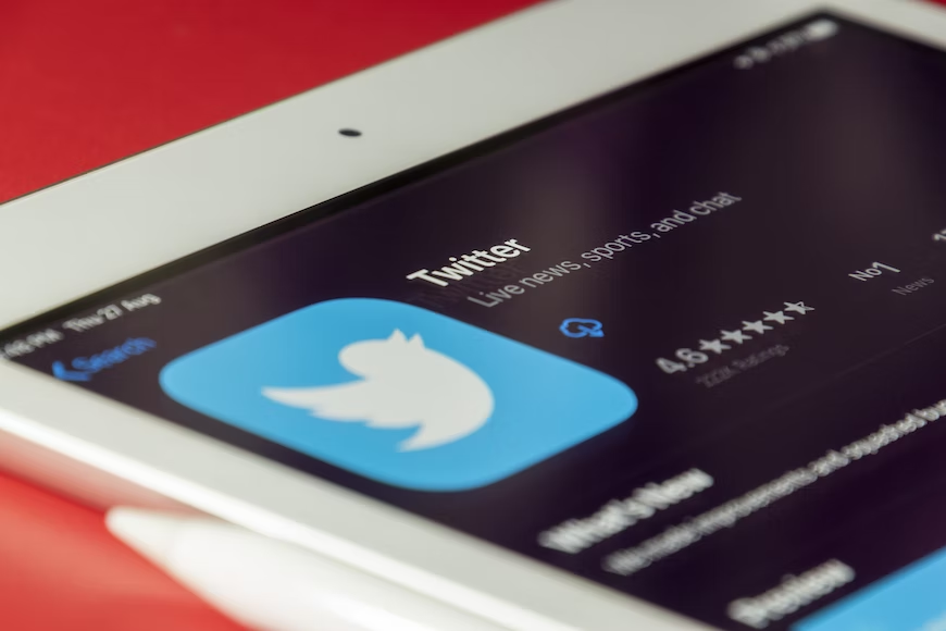 Top 10+ how to get twitter verified 8 How to Get Verified on Twitter? Everything You Need To Know